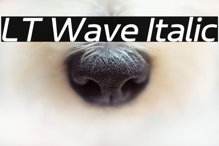 LT Wave Italic Example 3