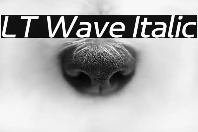 LT Wave Italic Font examples