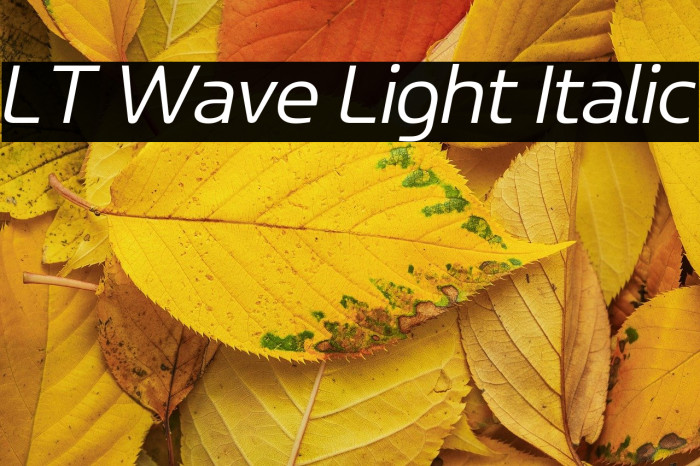 LT Wave Light Italic Example 3