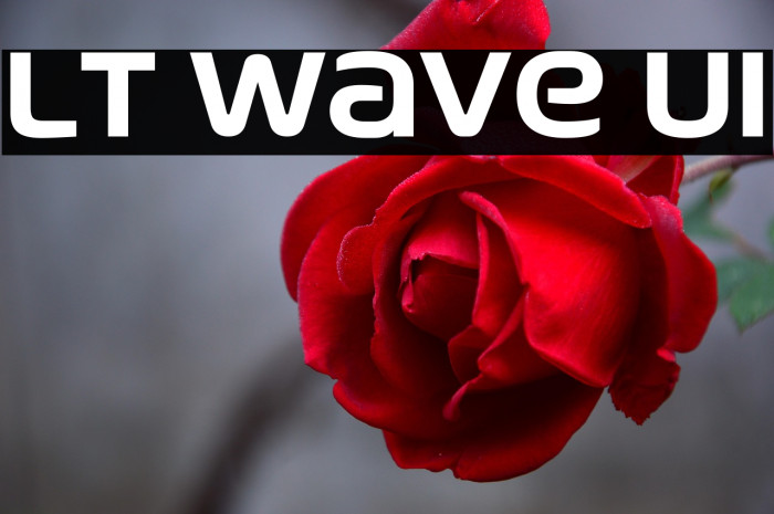 LT Wave UI Example 2