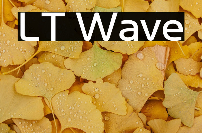 LT Wave Example 3