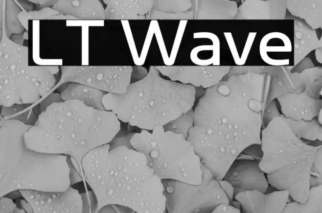 LT Wave Font examples