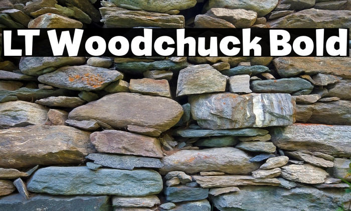 LT Woodchuck Bold Example 1