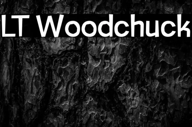 LT Woodchuck Polices examples