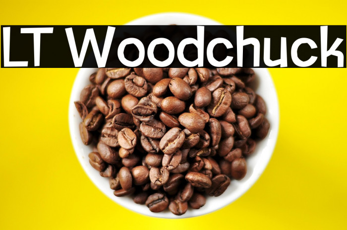 LT Woodchuck Example 2