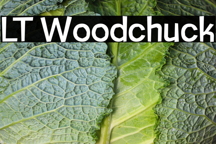 LT Woodchuck Example 3