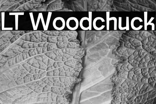 LT Woodchuck Polices examples