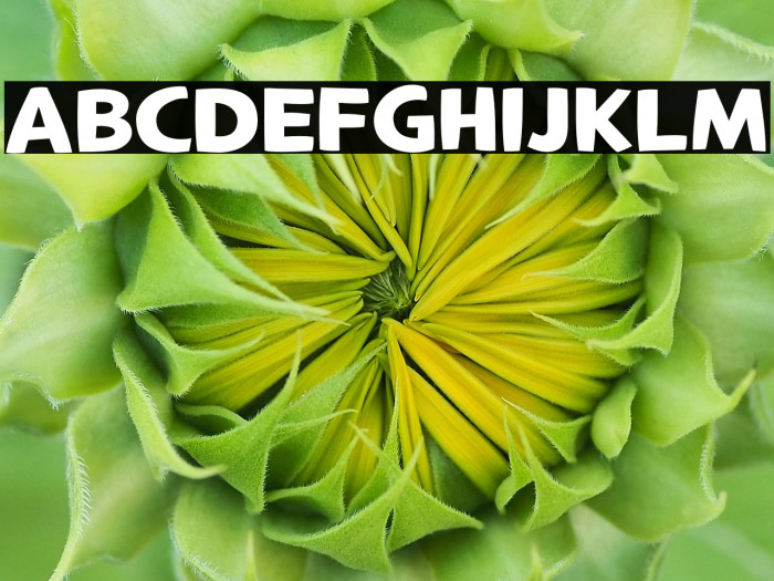 LTCrafted-Bold Example 1