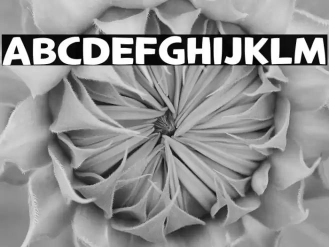 LTCrafted-Bold Font examples