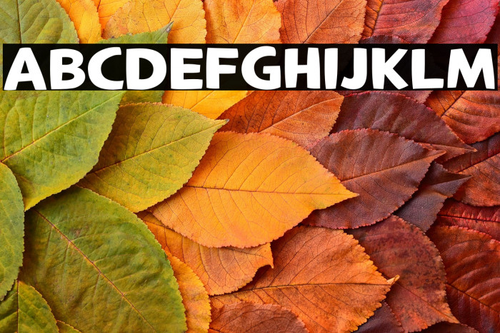 LTCrafted-Bold Example 2