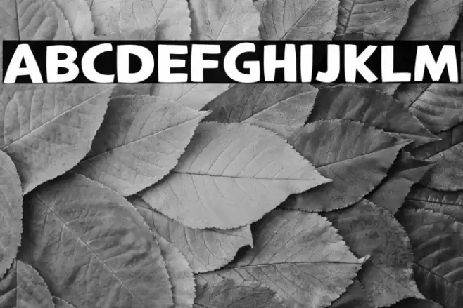 LTCrafted-Bold Font examples