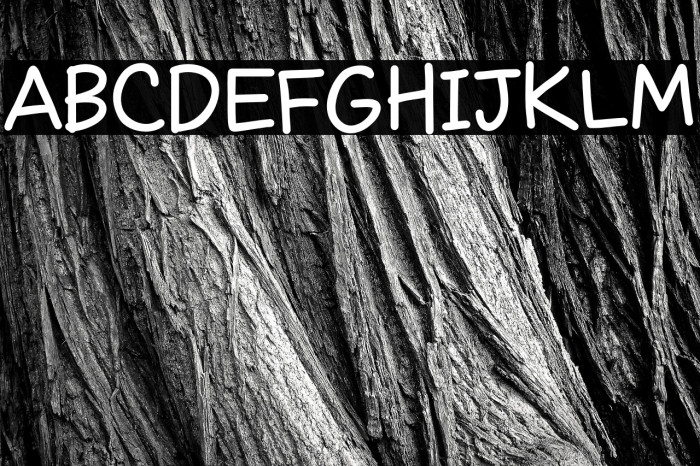 LTExpo-Regular Example 2