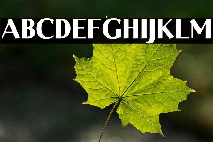 LTHighlight-ExtraBold Example 3