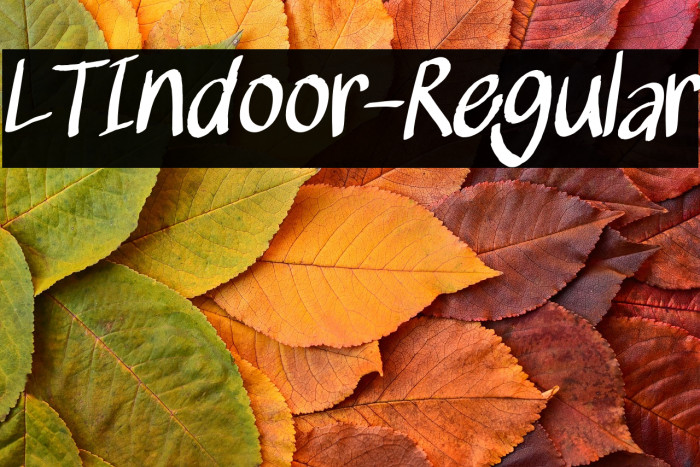 LTIndoor-Regular Example 1