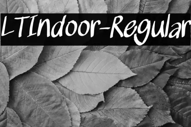 LTIndoor-Regular Example 1