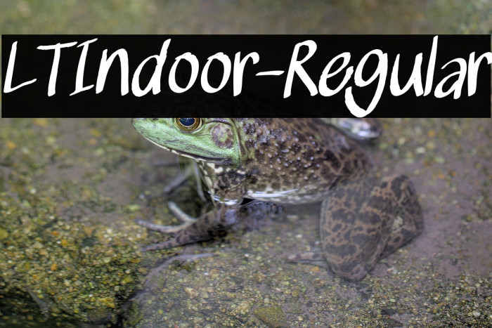 LTIndoor-Regular Example 2