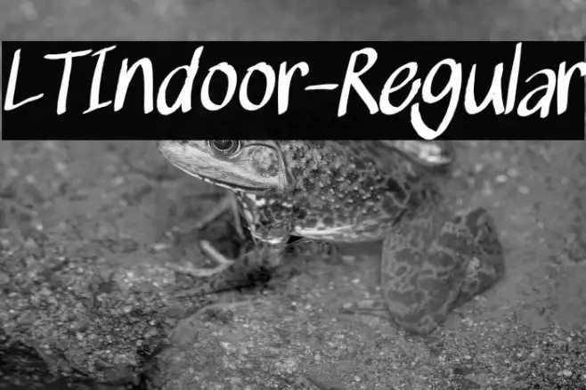 LTIndoor-Regular Example 2