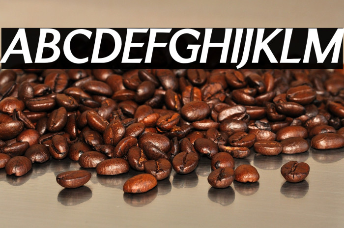 LTMarathon-BoldItalic Example 1