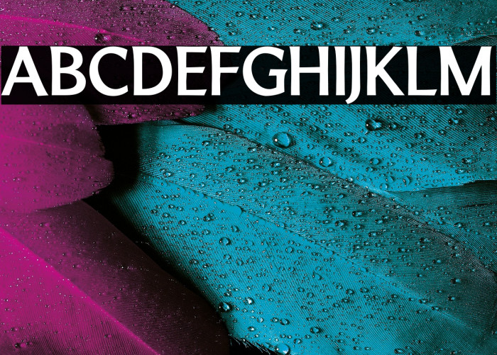 LTMarathon-Bold Example 2