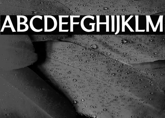 LTMarathon-Bold Font examples