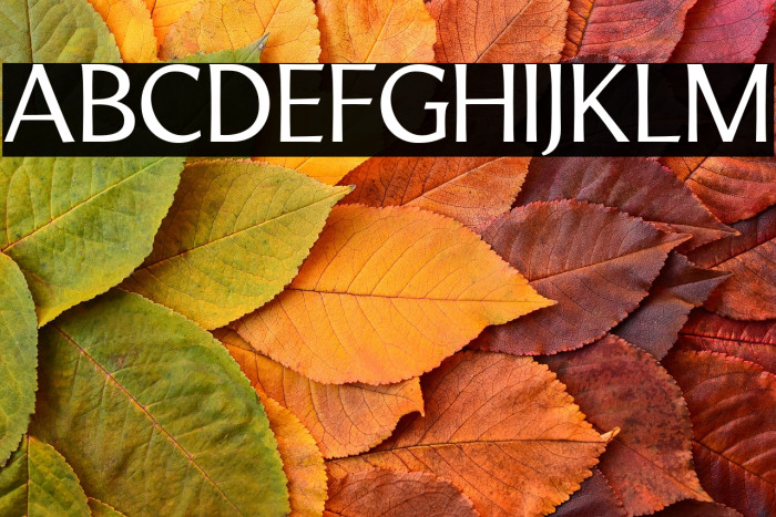 LTMarathon-Regular Example 1