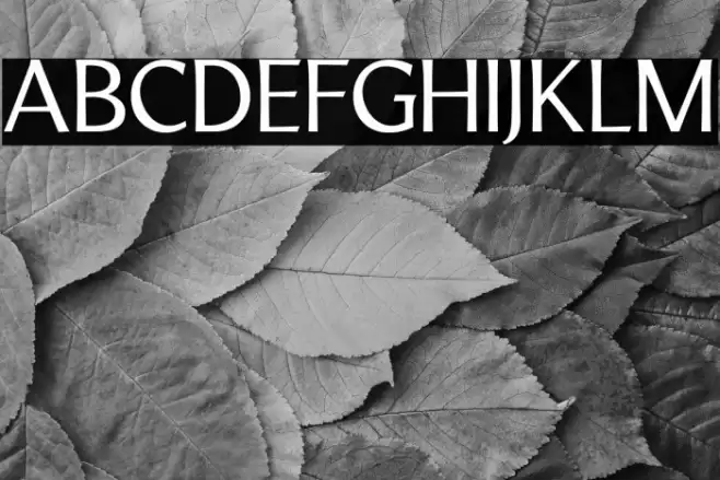 LTMarathon-Regular Font examples