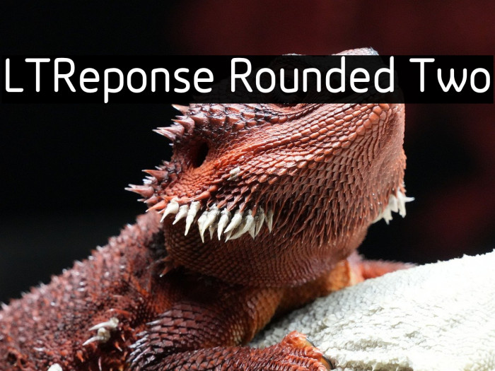 LTReponse Rounded Two Example 1