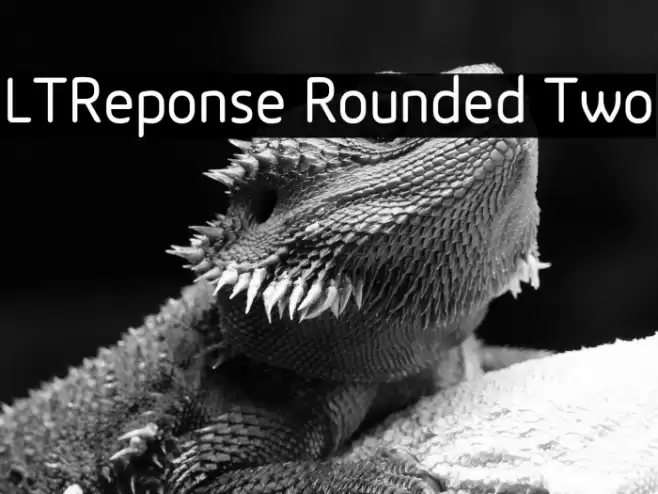 LTReponse Rounded Two Font examples
