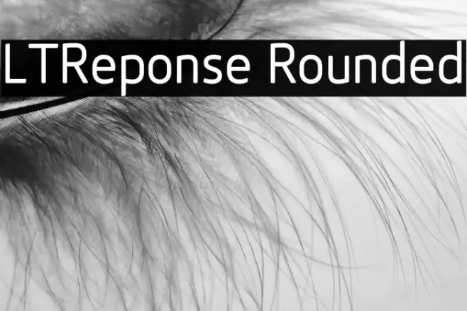 LTReponse Rounded Example 1