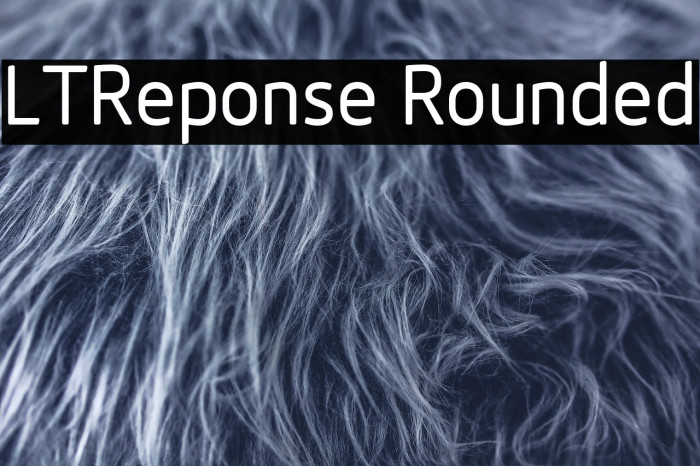 LTReponse Rounded Example 2