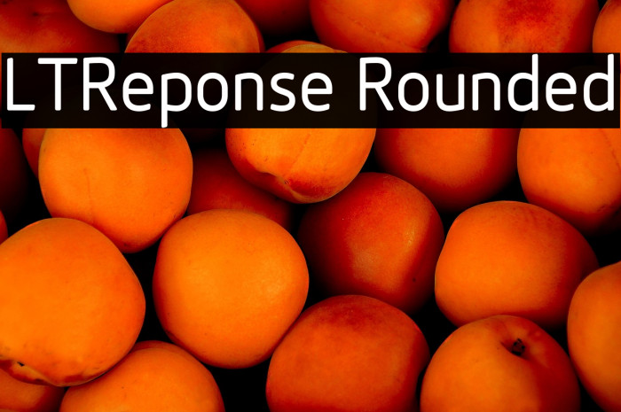 LTReponse Rounded Example 3