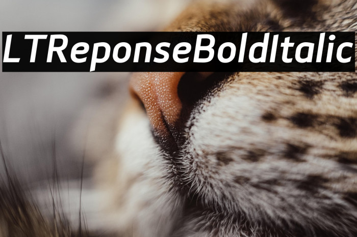 LTReponseBoldItalic Example 1