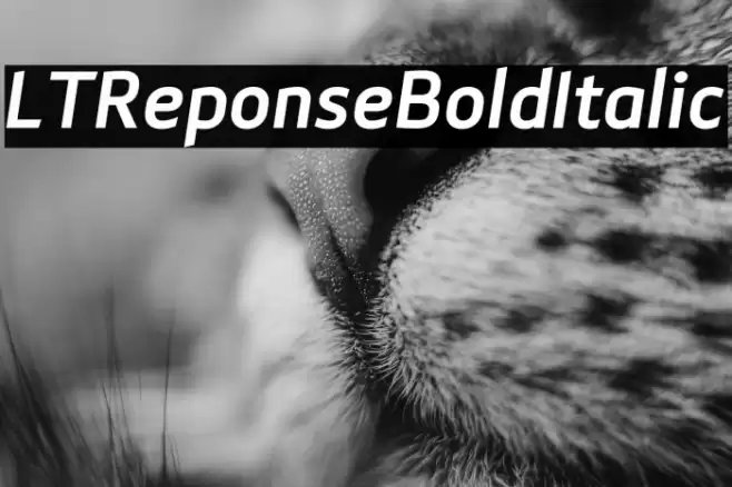 LTReponseBoldItalic Font examples