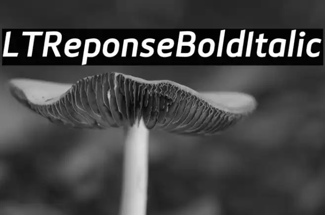LTReponseBoldItalic Font examples