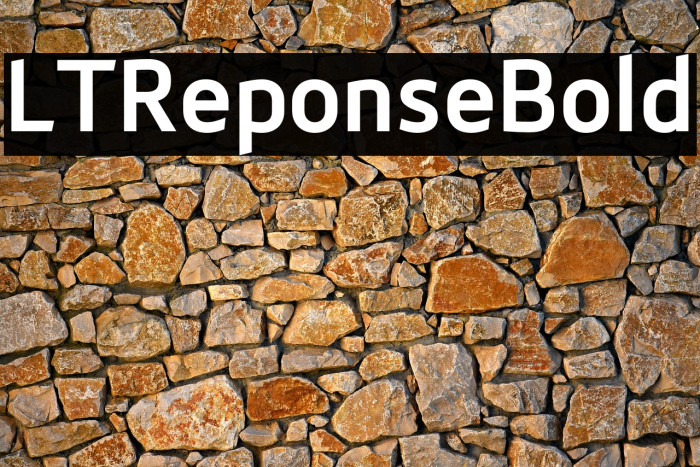 LTReponseBold Example 1