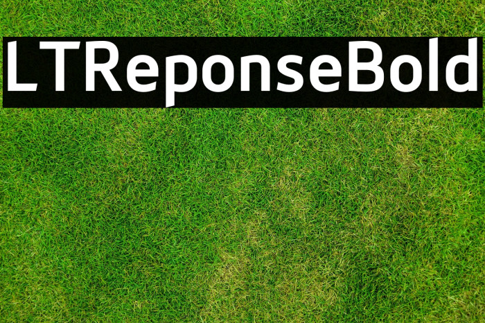LTReponseBold Example 2