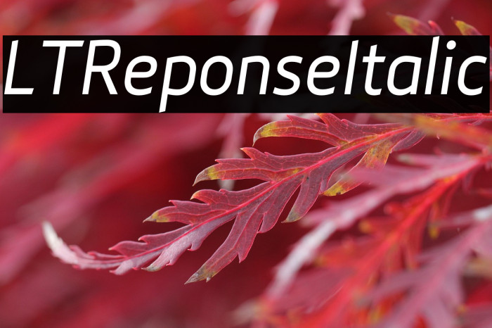 LTReponseItalic Example 1