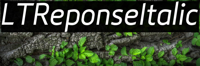 LTReponseItalic Example 2