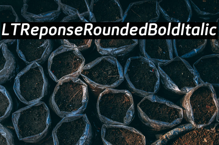 LTReponseRoundedBoldItalic Example 1