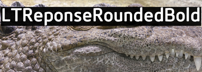 LTReponseRoundedBold Example 3