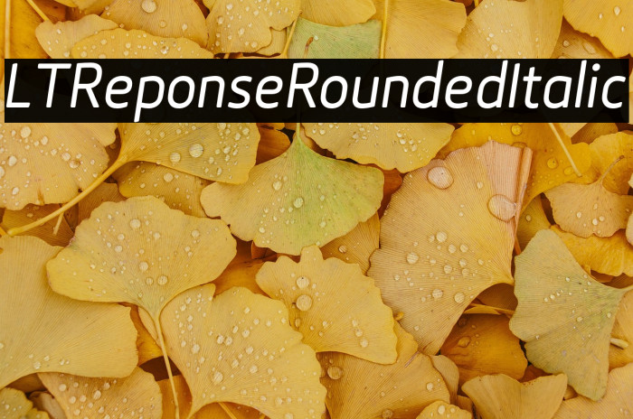LTReponseRoundedItalic Example 3