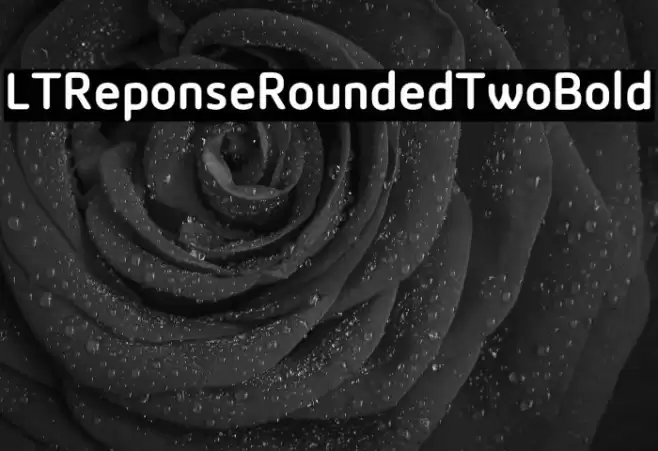 LTReponseRoundedTwoBold Font examples