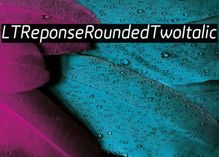 LTReponseRoundedTwoItalic Example 2