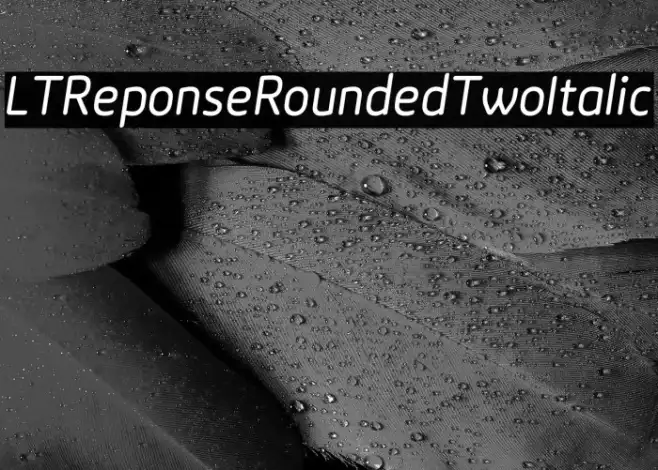 LTReponseRoundedTwoItalic Example 2