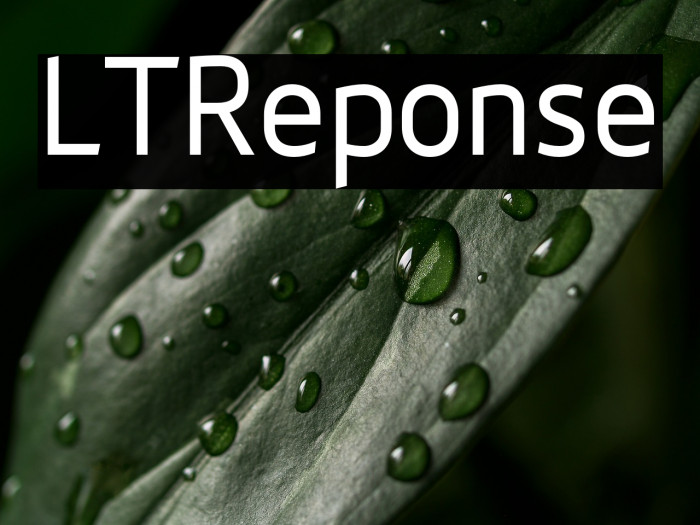 LTReponse Example 1