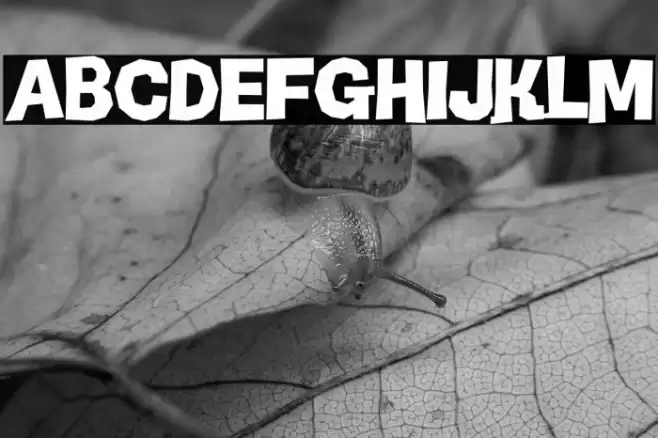 LTSculpture-Black Font examples