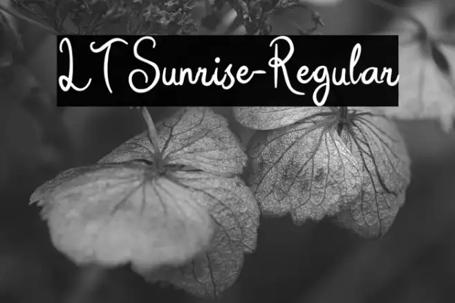 LTSunrise-Regular Example 1