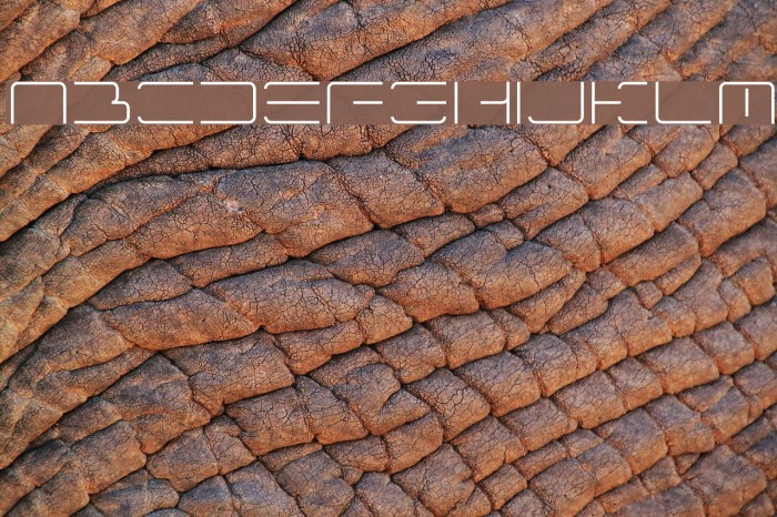 ltr-04:wireflame Font examples