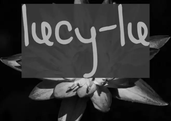 LUCY-LU Example 1