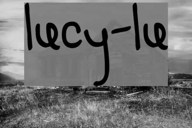 LUCY-LU Example 2